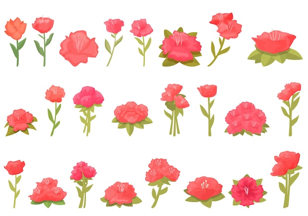 Conjunto de iconos de rododendro vector de dibujos animados moda de flores