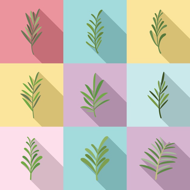 Conjunto de iconos de romero vector plano. Especias de hierbas