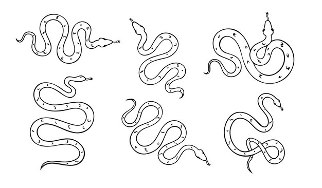 Conjunto de iconos de la serpiente dibujada a mano en la vista superior Dibujo de esquema de serpiente aislada sobre fondo blanco