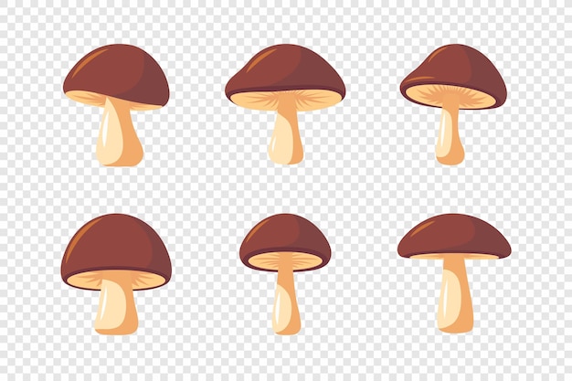 Conjunto de íconos de setos de hongo planos dibujados a mano por vectores, aislados, marrones, comestibles, hongo boleto, ilustración, colección de hongo, plantilla de diseño de símbolos de hongo mágico.
