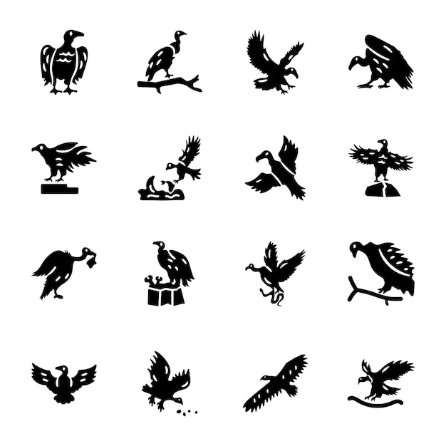 Conjunto de íconos sólidos de pájaros buitre