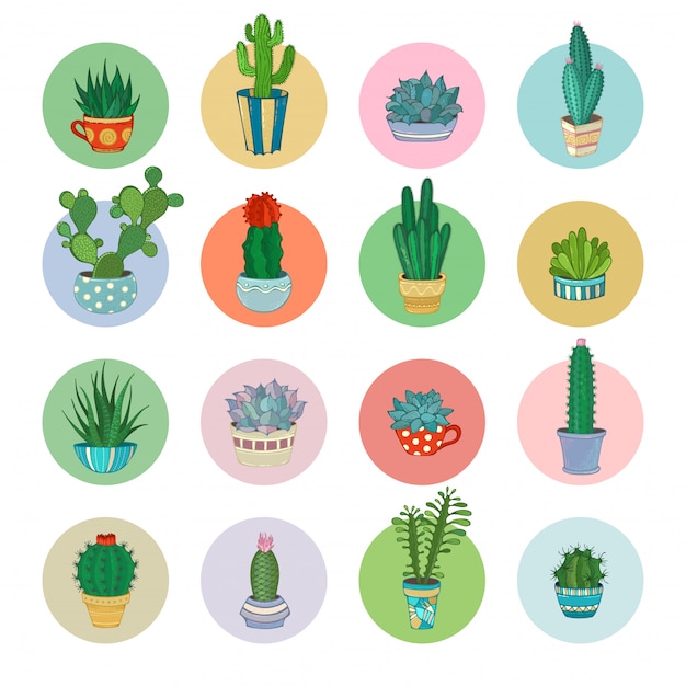 Conjunto de iconos suculentos y cactus de dibujos animados.