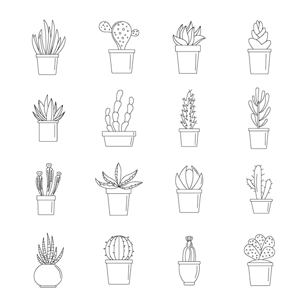 Conjunto de iconos suculentos y cactus