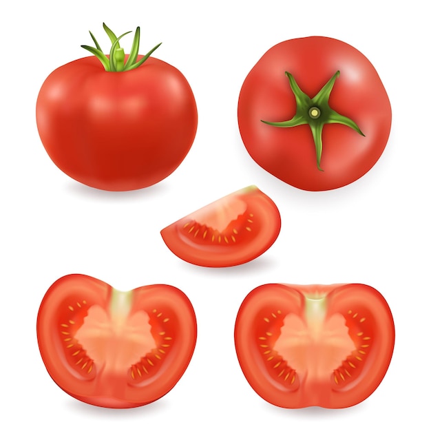 Conjunto de iconos de tomate diferente realista closeup aislado en blanco la mitad de un cuarto entero de un tom