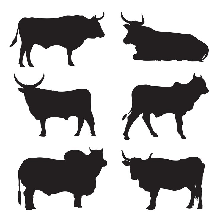 Conjunto de iconos de vacas en blanco y negro de silueta de vaca