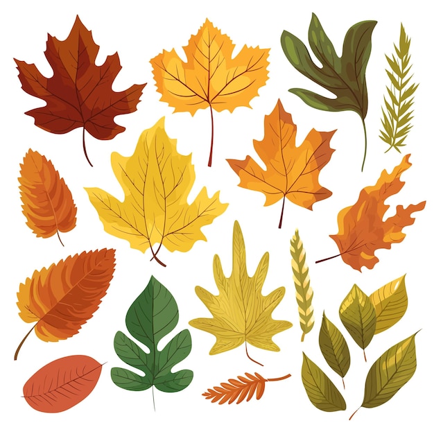 Vector un conjunto de iconos con varias hojas de otoño hojas naturales ilustración vectorial botánica