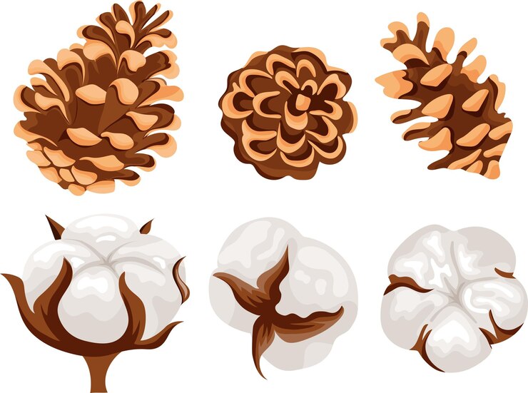 Vector conjunto de iconos de varios conos forestales de coníferas y varias flores de algodón para tarjetas de navidad