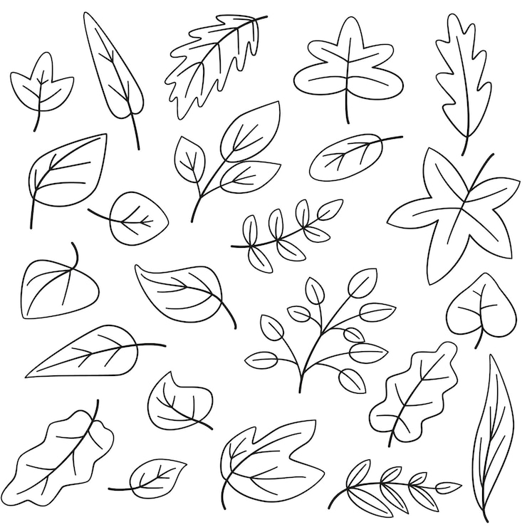 Vector conjunto de iconos de vector de línea de diferentes hojas