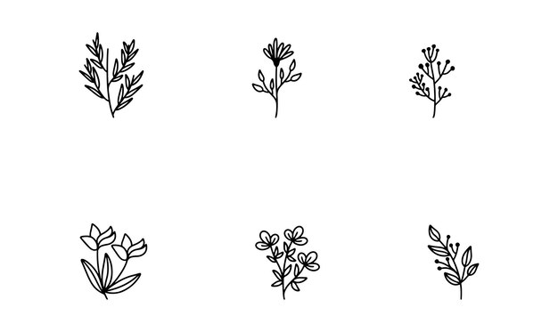 Conjunto de iconos de vectores de flores botánicas