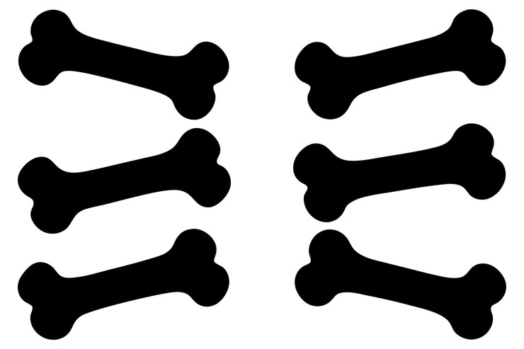 Vector conjunto de iconos de vectores de huesos de perro