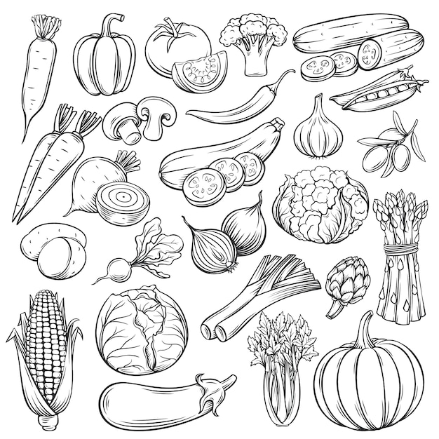 Vector conjunto de iconos de vegetales dibujados a mano