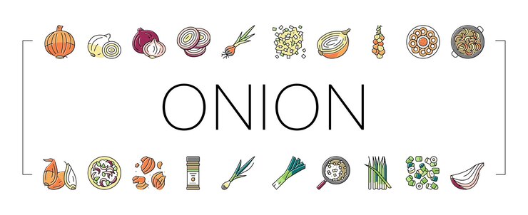 Vector conjunto de iconos vegetales de vitamina fresca de cebolla vector