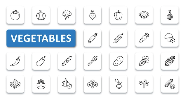 Conjunto de iconos de verduras ilustración vectorial iconos de contorno de línea delgada