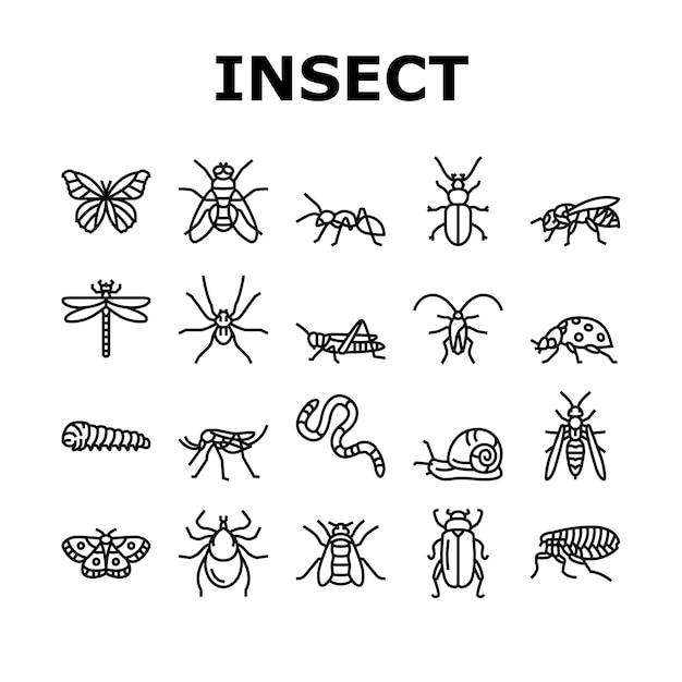 Conjunto de iconos de vida silvestre de insectos araña y insectos Vector