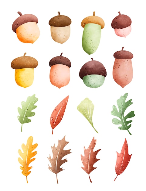 Vector conjunto de ilustración de acuarela de bellota y hojas de otoño