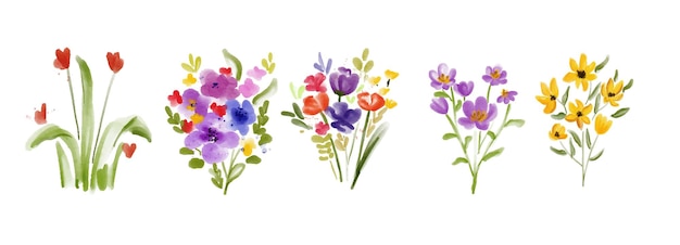 conjunto de ilustración acuarela flor