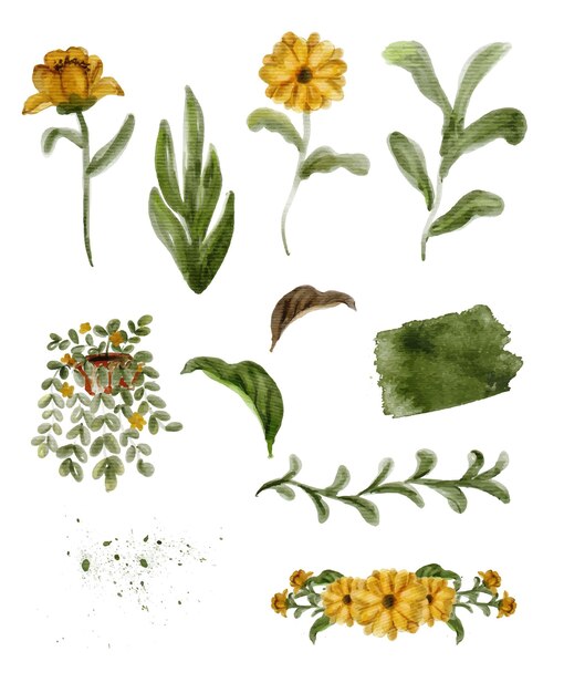 conjunto de ilustración acuarela floral dibujada a mano