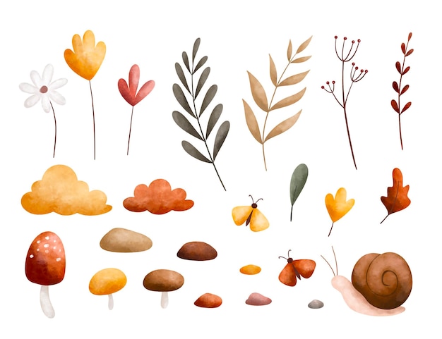 Vector conjunto de ilustración de acuarela de hojas de otoño flores hongo caracol y mariposas