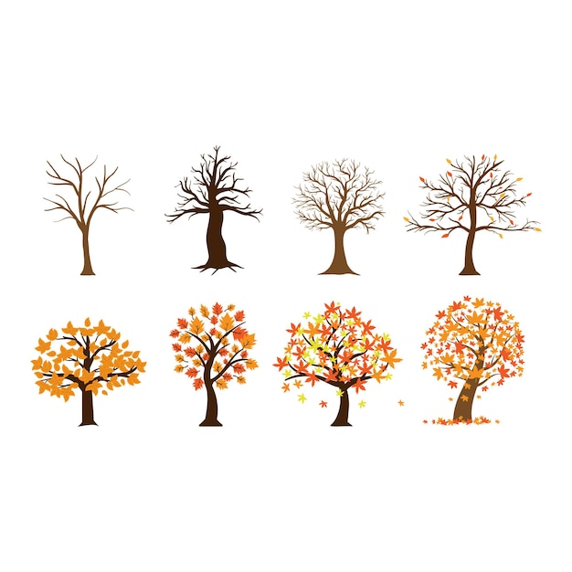 Conjunto de ilustración de árbol de otoño plantilla de diseño de árbol de temporada de otoño