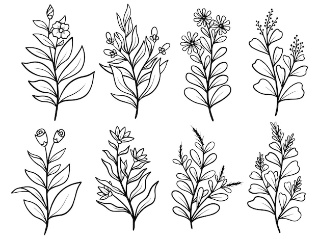 Conjunto de ilustración de arte de línea de boceto de flor dibujada a mano