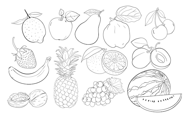 Conjunto de ilustración de arte de línea de frutas