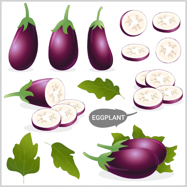 Vector conjunto de ilustración de berenjena púrpura