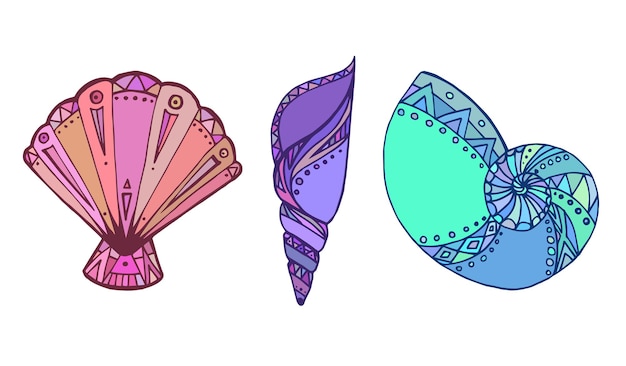 Conjunto de ilustración colorida Doodle de concha