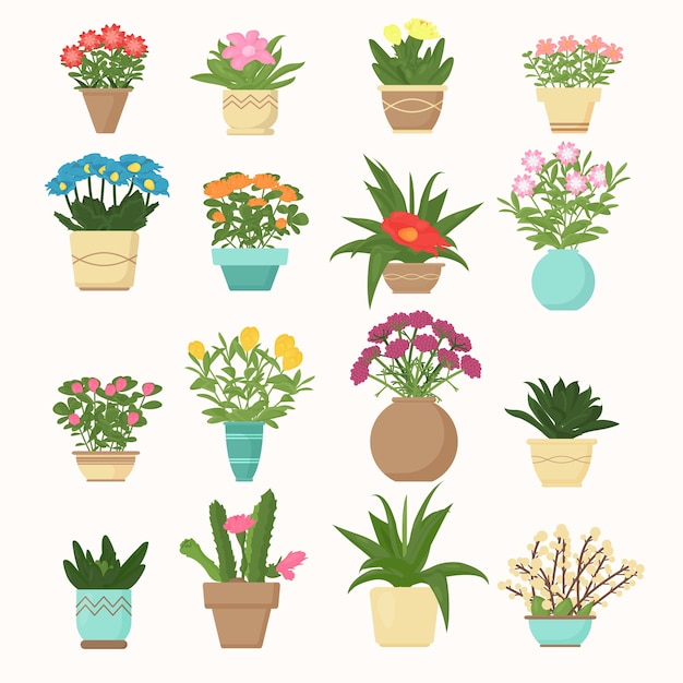 Vector conjunto de ilustración colorida de flores y plantas, suculentas en jarrones en estilo plano de dibujos animados.