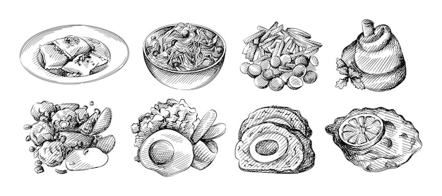 Conjunto de ilustración dibujada a mano de girasol y semillas de girasol.