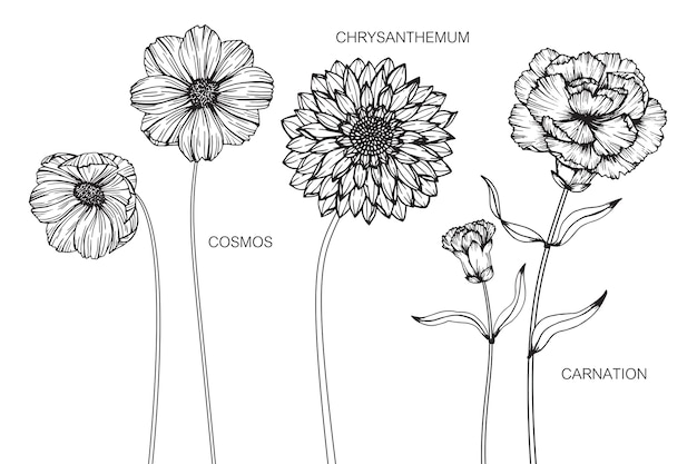 Conjunto de ilustración de dibujo de flor