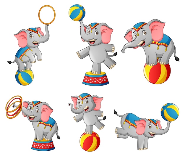 Conjunto de ilustración de dibujos animados lindo elefante de circo