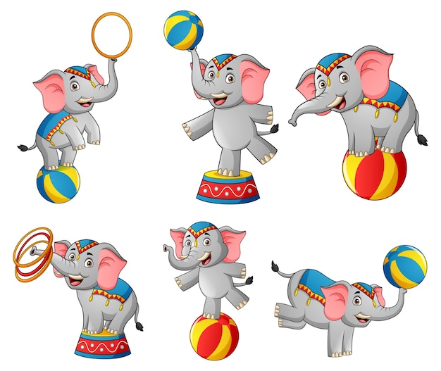 Conjunto de ilustración de dibujos animados lindo elefante de circo