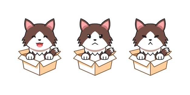 Conjunto de ilustración de dibujos animados vectoriales de gato ragamuffin que muestra diferentes emociones en cajas de cartón