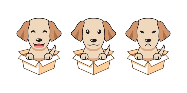 Conjunto de ilustración de dibujos animados vectoriales de perro labrador retriever que muestra diferentes emociones en cajas de cartón