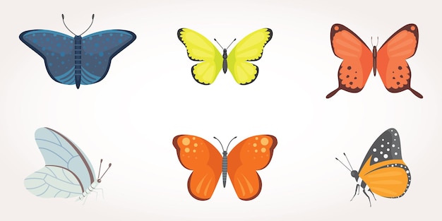 Vector conjunto de ilustración de diseño de mariposa colorida