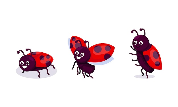 Conjunto de ilustración de diseño de mascota de mariquita insecto lindo