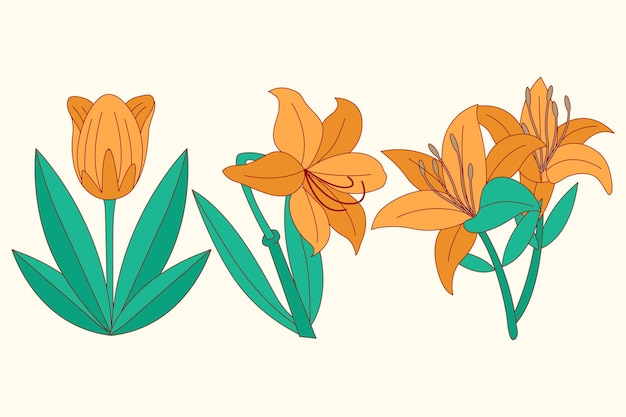 Conjunto de ilustración de diseño plano de flores naranjas