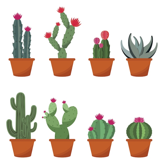 Conjunto de ilustración de diseño plano lindo cactus cactus planta olla