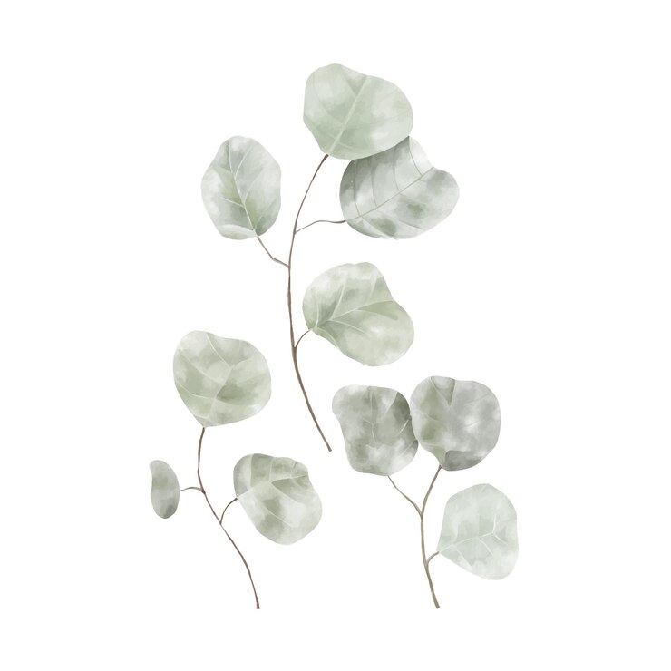 Conjunto de ilustración floral acuarela colección de ramas de hoja verde para papelería de boda