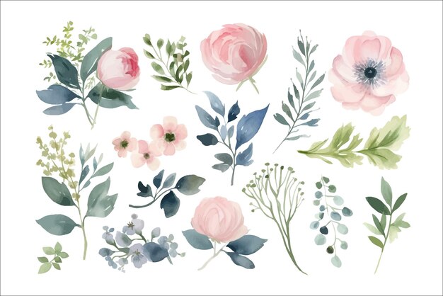 Vector conjunto de ilustración floral acuarela plantilla de elementos de flores decorativas ilustración de dibujos animados plana aislada sobre fondo blanco