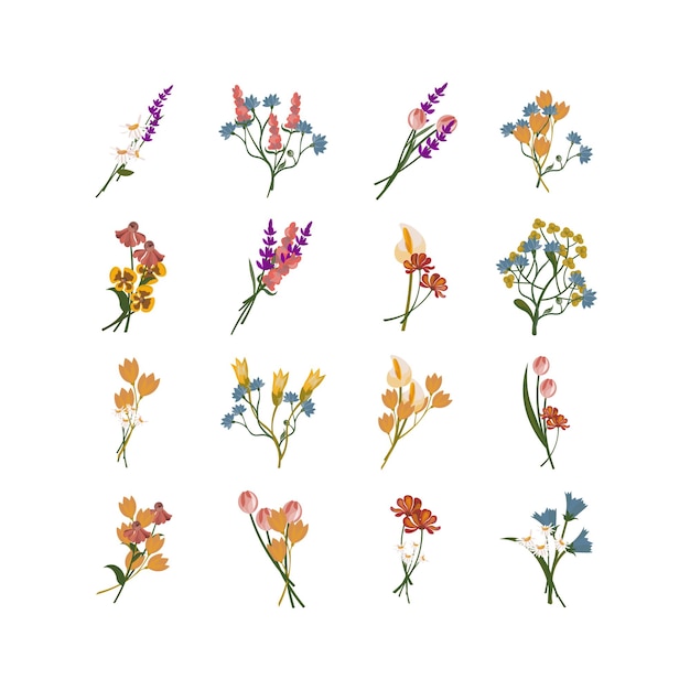 Vector conjunto de ilustración de flores de acuarela