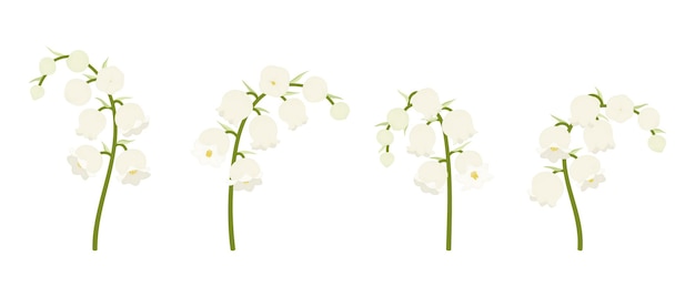 Conjunto de ilustración de flores florecientes de lirio blanco de los valles