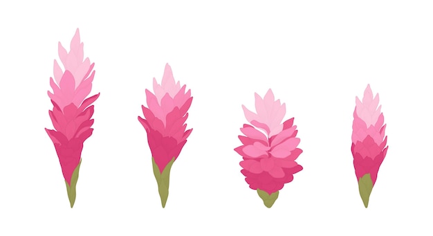 Vector conjunto de ilustración de flores florecientes tropicales