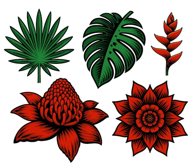 Conjunto de ilustración de flores y plantas tropicales