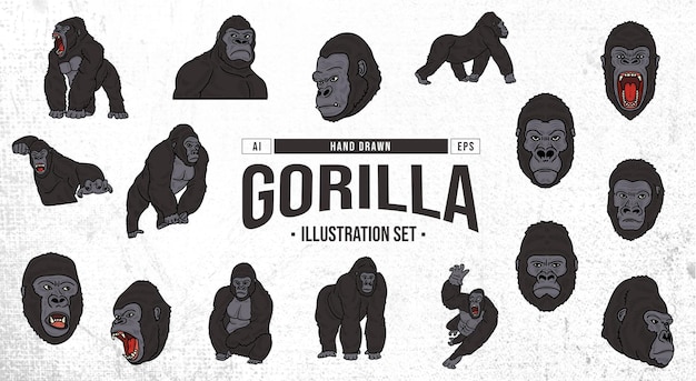 Conjunto de ilustración de gorila dibujado a mano