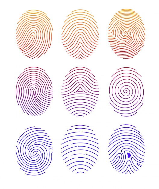 Conjunto de ilustración de huella digital de forma diferente con degradado de color en la línea e sobre fondo blanco.