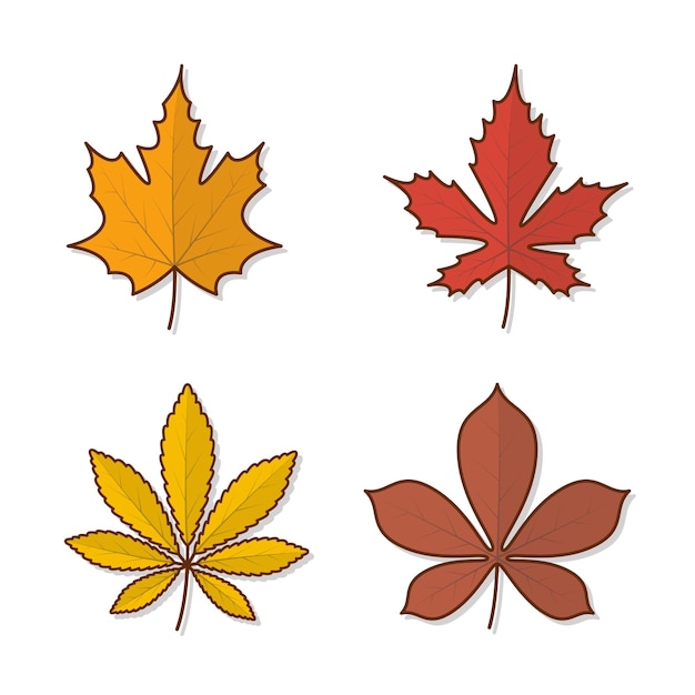 Conjunto de ilustración de icono de vector de hojas de otoño. hojas de otoño o icono plano de follaje de otoño