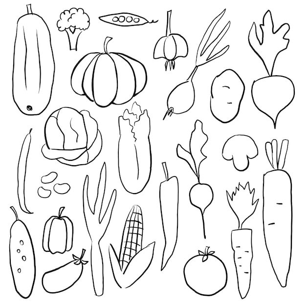 Conjunto de ilustración de imágenes prediseñadas dibujadas a mano de verduras