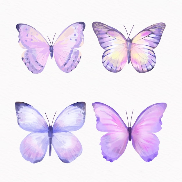 Conjunto de ilustración de mariposa