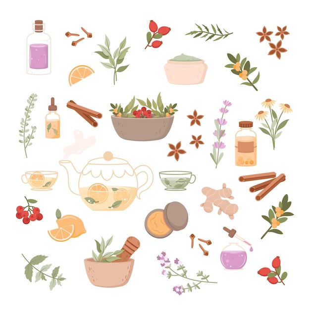 Conjunto de ilustración de medicina herbaria icono plano con dibujos animados de spa de flores para diseño médico